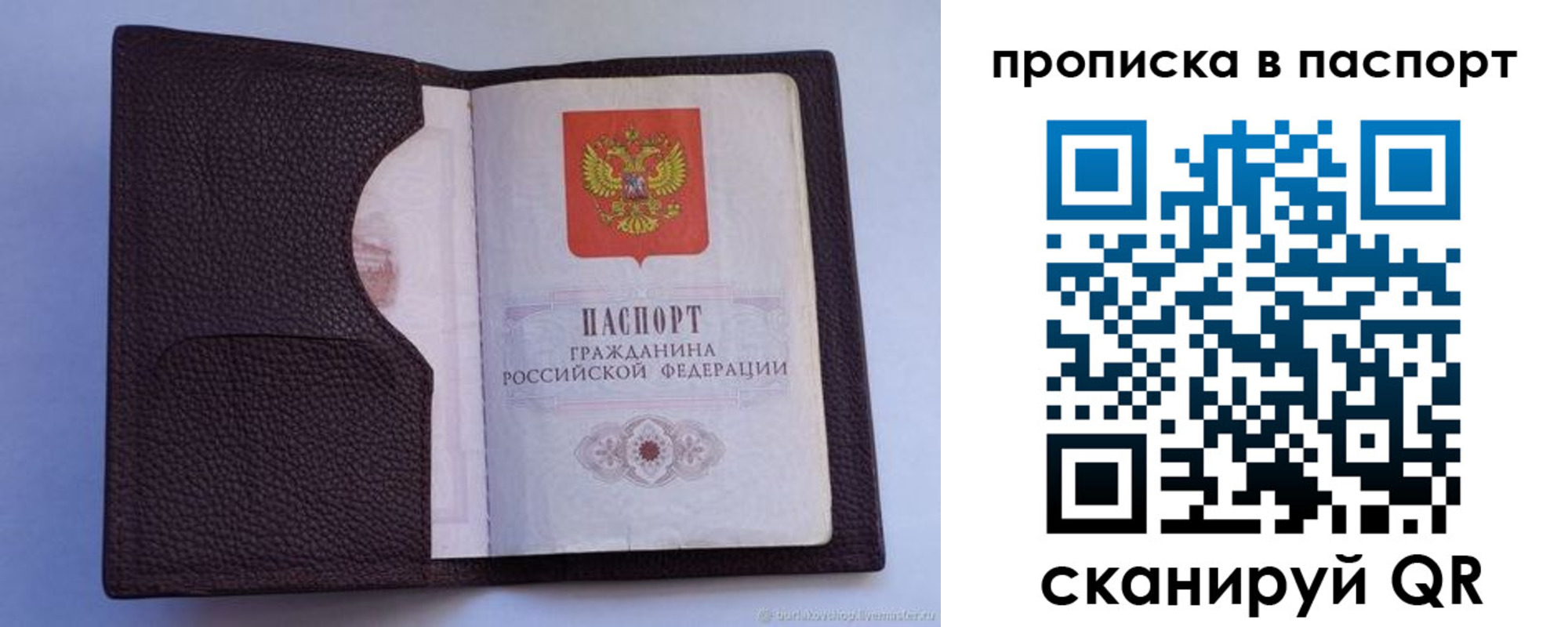 прописка законно в Ростове